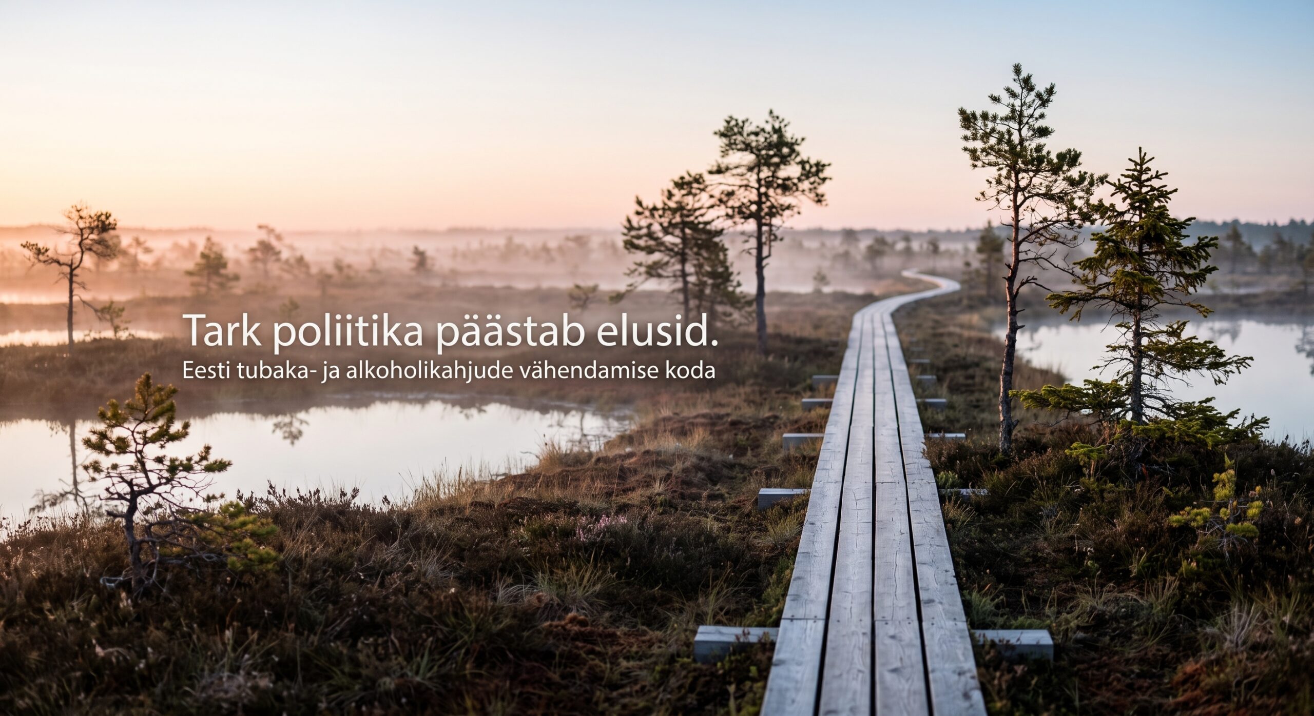 Rabamaastik laudteega. Tark poliitika päästab elusid. Eesti tubaka- ja alkoholikahjude vähendamise koda.